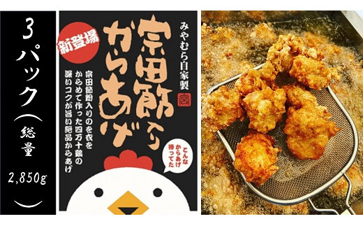 
                  宗田節入りからあげ（冷凍950g）×３パック 鶏むね肉 唐揚げ 揚げるだけ 簡単 おつまみ ビール お弁当 惣菜 おかず 冷凍食品 時短 おいしい 国産 【R01663】
                