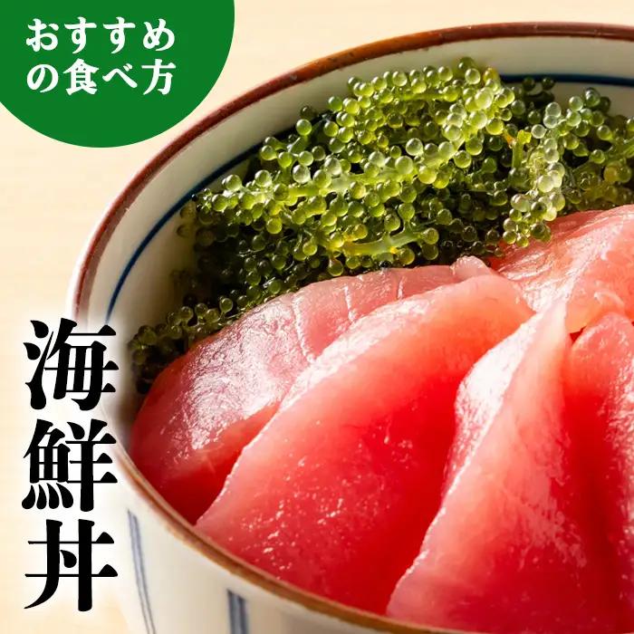海ぶどう【2026年発送】宜野座村の海ぶどう（100g×5パック）
