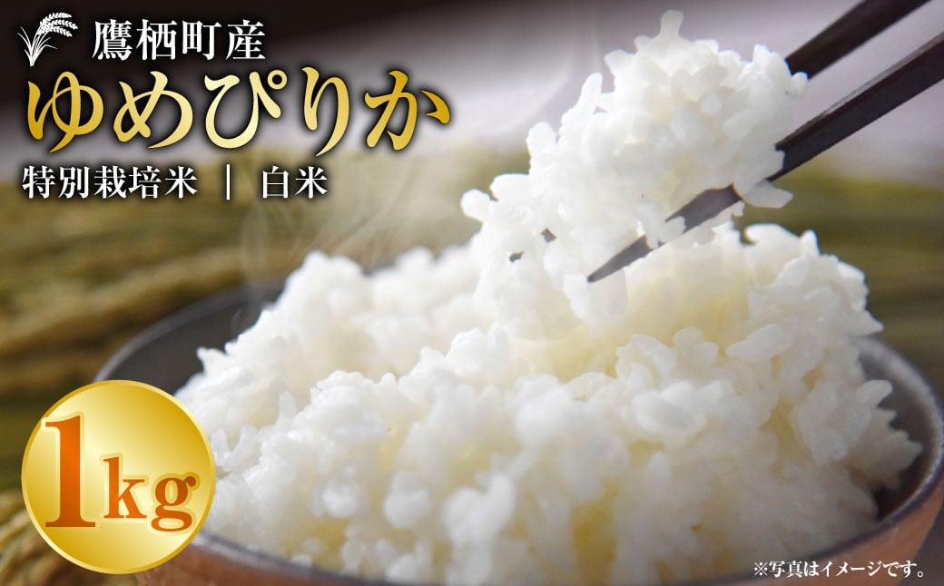 ゆめぴりか（白米）1kg 【令和7年産】 お米 白米 ご飯 ごはん ゆめぴりか 北海道 鷹栖町