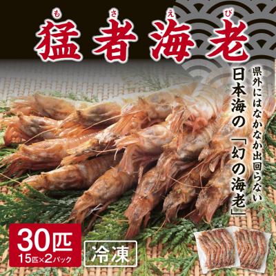 ふるさと納税 鳥取市 猛者海老 15匹×2パックセット【山根商店】