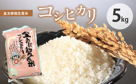 令和7年産 米 金太郎飴生産米 コシヒカリ 山口美祢産 5kg