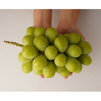 【ふるさと納税】【食べきりサイズ】シャインマスカット　約700g【配送不可地域：離島・北海道・沖縄県】【1694699】