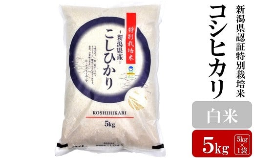 【令和6年産米】コシヒカリ 白米 5kg 新潟県認証特別栽培米 お米 新潟県産 アグリーホンマ[Y0362]