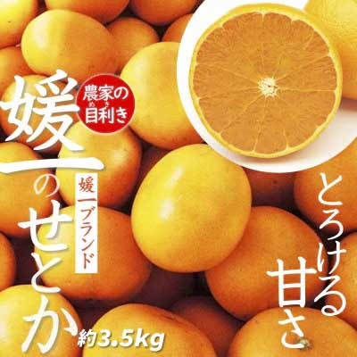 
                  【先行受付】愛媛の高級柑橘の代名詞!「せとか」約3.5kg入【D28-18】_みかん ミカン 柑橘 せとか フルーツ くだもの 果物 ふるーつ 青果 果実 人気 甘い ジューシー 産直 産地直送 旬 柑橘類 人気 愛媛 果汁 八幡浜市【1046129】 YWTN011
                