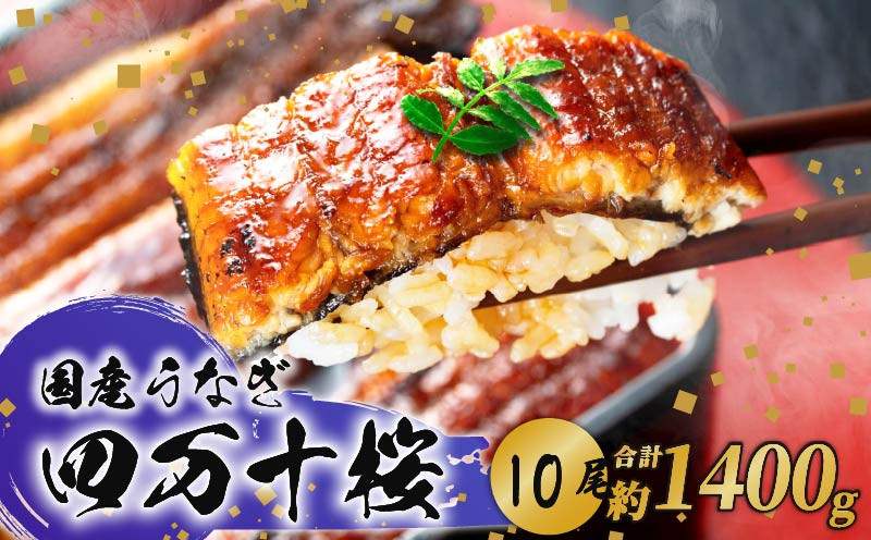 
            【通常用】極上国産うなぎ四万十桜 蒲焼き約140g✕10尾 | うなぎ 鰻 蒲焼き 国産 四万十鰻 白焼き 調理済み タレ付き ギフト（お歳暮/お正月）高級 お取り寄せ グルメ 食べ比べ 冷凍
          