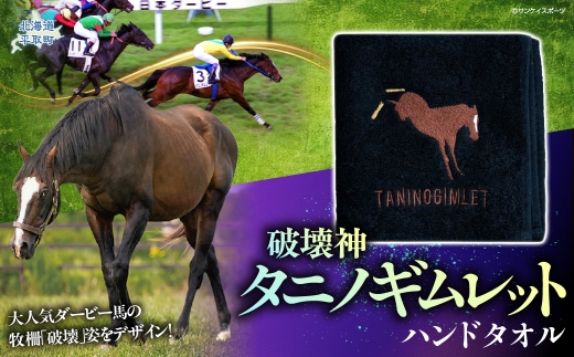 【破壊神タニノギムレット】ハンドタオル 【 ふるさと納税 人気 おすすめ ランキング 馬 競馬 競走馬 引退馬 タニノギムレット タオル ハンドタオル 綿タオル 日高 北海道 平取町 びらとり 送料無料 】 BRTV110