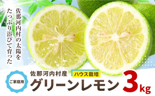 訳あり グリーンレモン 山本農園 《6月上旬-8月中旬頃出荷》 3kg レモン フルーツ 佐那河内 さなごうち ジューシー 柑橘 ご家庭用 サラダ お酒 ジュース