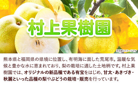 梨 なし 荒尾梨 約1.8～2kg 果物 和梨 村上果樹園 あきづき 甘太 秋麗 【品種の指定不可】 《8月上旬-9月末頃出荷》熊本県 荒尾市 2kg 前後 果物 フルーツ 旬 荒尾市産 国産 冷蔵 