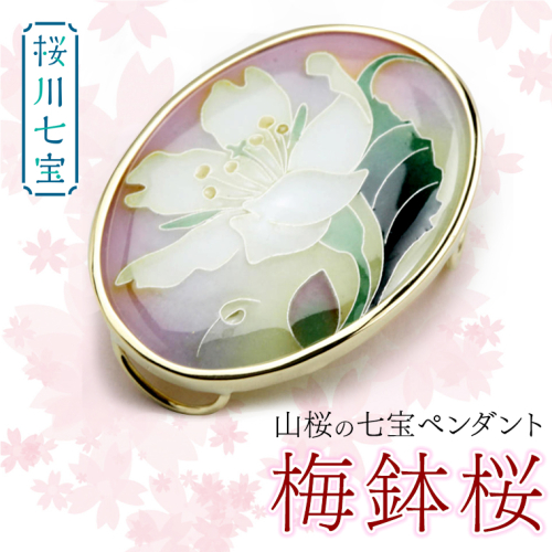 「 桜川七宝 」 山桜の七宝ペンダント 梅鉢桜  ／ 母の日 プレゼント ジュエリー 作家 伝統工芸 森千鶴子 記念 ギフト 贈り物 [AH009sa]