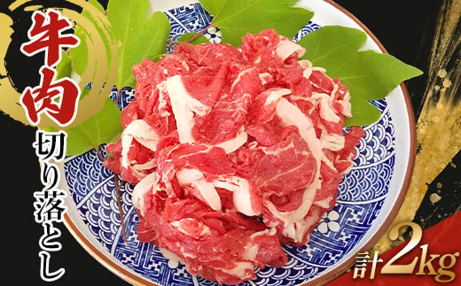 牛肉 切り落とし 2kg（500g×4） TY0-0745