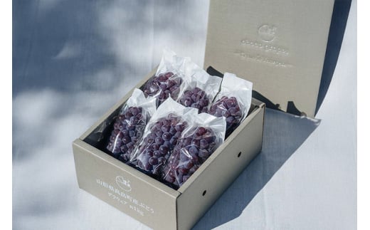 【期間限定発送】 ぶどう デラウェア 5～7房 約 1kg 朝採り [oboco grapes 山形県 高畠町 tk06ayt250000] 個包装 種無し ブドウ 葡萄 くだもの 果物 フルーツ 産地直送 農家直送