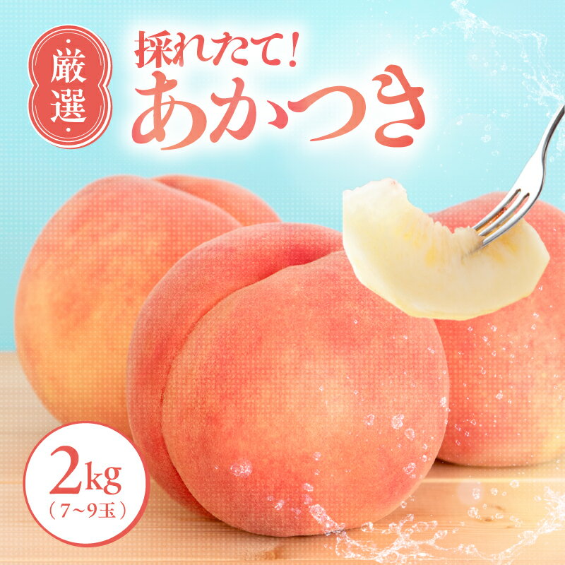 【ふるさと納税】【7月下旬より順次発送】南信州産「桃」あかつき 約2kg 光センサー選果機選別品【離島沖縄配送不可】 | 果物 くだもの フルーツ 桃 モモ もも あかつき 新鮮 長野県 信州 南信州 飯田市 BI01