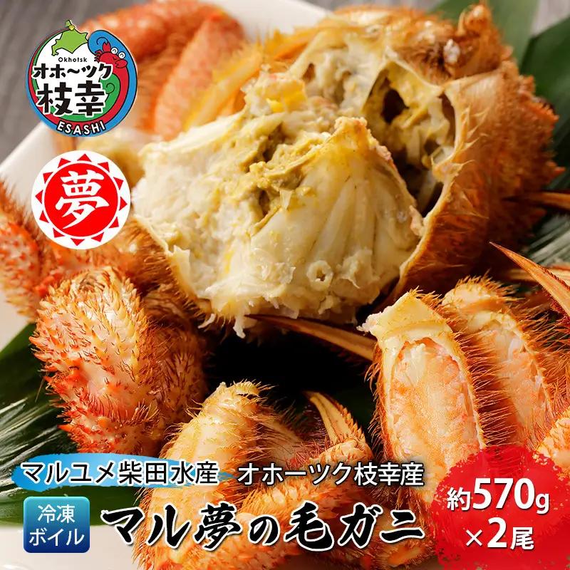 オホーツク枝幸産 マル夢の毛ガニ約570g×2尾【冷凍ボイル】柴田水産【 枝幸産 毛ガニ 蟹 かに カニ 北海道 オホーツク 枝幸 】