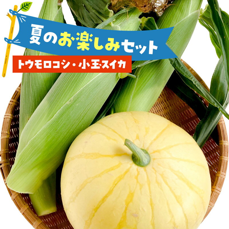 【ふるさと納税】《7月中旬〜9月中旬発送》夏のお楽しみセット とうもろこし3本〜5本と小玉スイカ1個のセット