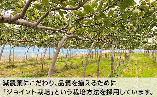 減農薬にこだわり、品質を揃えるために「ジョイント栽培」という栽培方法を採用しています。