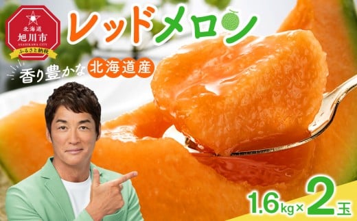 香り豊かな 北海道レッドメロン 1.6kg×2玉(2025年7月下旬発送開始予定) 【 果物 くだもの フルーツ メロン 赤肉 赤肉メロン 旬 お取り寄せ 甘い 北海道産 旭川市 北海道 送料無料 】_01381