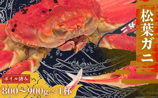 
            隠岐松葉ガニ 800～900g×1杯〈ボイル〉松葉ガニ カニ 蟹 新鮮 旬 プレゼント 贈与 お祝い事 贈り物 年末年始 祝辞
          