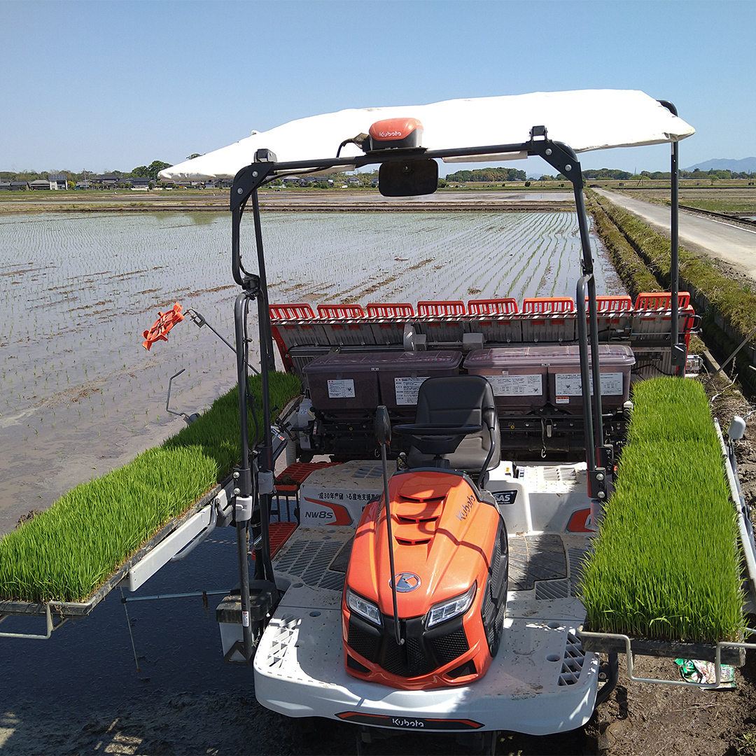 令和7年産 茨城県産 新米 にじのきらめき 10kg 白米 米 こめ コメ 農家 直送 こだわり お米 おこめ 茨城 [BG016ya]