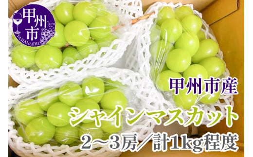【クール配送】甘さと香り際立つ山梨県甲州市産シャインマスカット 2～3房（合計約1kg）【2025年発送】（KFT）B-1810 【シャインマスカット 葡萄 ぶどう ブドウ 令和7年発送 期間限定 山梨県産 甲州市 フルーツ 果物】