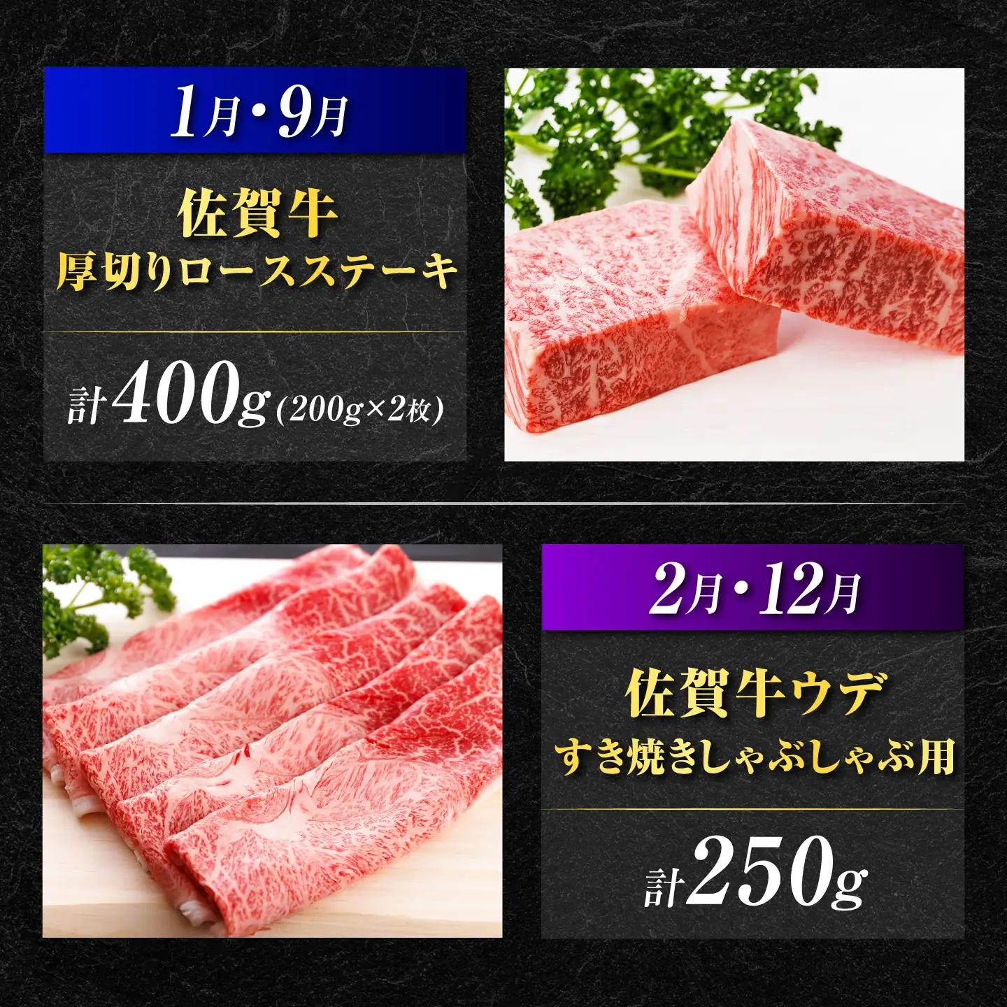 【全12回】佐賀牛 お楽しみ定期便 約2人前 肉定期便 [UCC002]