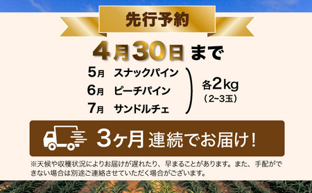 定期便 3ヶ月 2024年 先行予約 スナックパイン ピーチパイン サンドルチェ 3種の旬のパイン パイン畑から直送