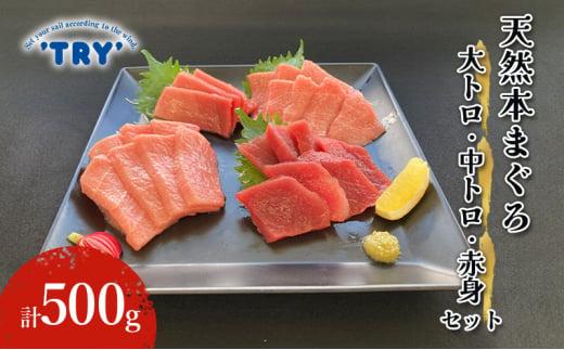【天然】本まぐろ　大トロ・中トロ・赤身セット 500g 鮪 本鮪 本マグロ マグロ 刺身 刺し身 海鮮 サク 海の幸◆