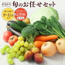 【ふるさと納税】【1回お届け／定期便】むなかた旬のお任せセット（野菜・フルーツ）9～11品【JAほたるの里】_HA1570 送料無料お野菜 野菜 旬 セット 詰め合わせ お楽しみ 季節 新鮮 産直 直送 採れたて フレッシュ 美味しい 健康 福岡県 宗像市