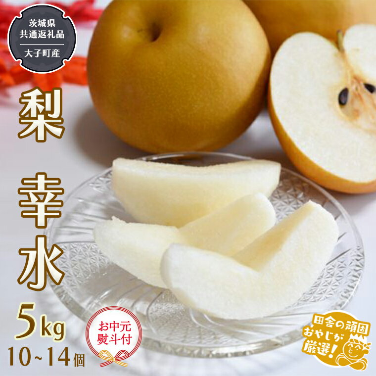 【ふるさと納税】（ お中元 熨斗付 ）梨 幸水 5kg 10~14個 【2025年7月から発送開始】 （茨城県共通返礼品 [梨]：大子町産） 田舎の頑固おやじが厳選！ 高糖度 ギフト 御中元 フルーツ 美味しい なし ナシ