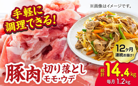 【12回定期便】豚肉切り落とし（モモ・ウデ部位指定なし）約1.2kg（約300g×4pc）【吉里精肉】[ZEW086]