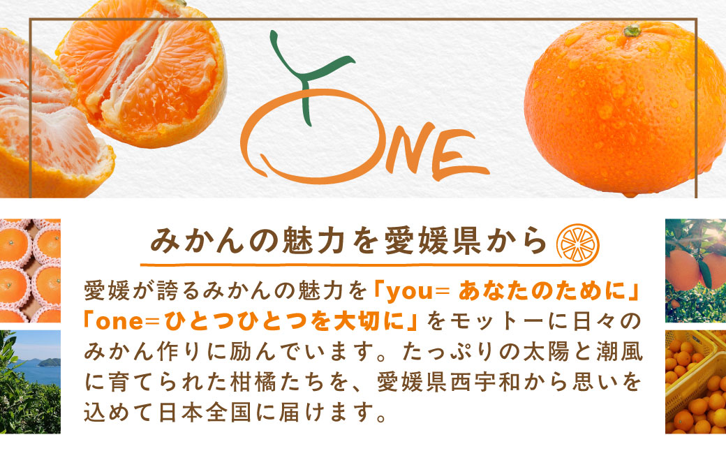 【先行受付】【数量限定】早生みかん（生果）3kg（2025年11月上旬より順次発送）IKTQ015