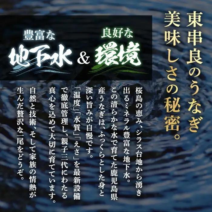 ＜定期便・全6回＞東串良町 うなぎ 蒲焼 (無頭)(5尾・計約750g・タレ、山椒付×6回) 高級 ウナギ 鰻 国産 たれ 鹿児島 ふるさと 人気【アクアおおすみ】【150041】