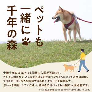 十勝千年の森 入場券 大人1名分【北海道 清水町 自然 十勝千年の森 十勝毎日新聞社 ガーデン 入場券 1名 レジャー おでかけ】_S030-0001