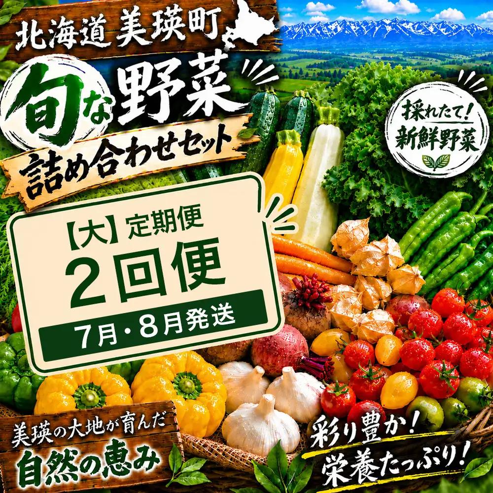 季節の野菜セット【大】定期便 2回便 7月 8月発送 旬野菜 詰め合わせ あらいふぁーむ