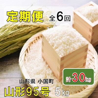 【ふるさと納税】【発送月固定定期便】山形県小国町産　山形95号5kg　おぐにのこめ全6回【4091700】