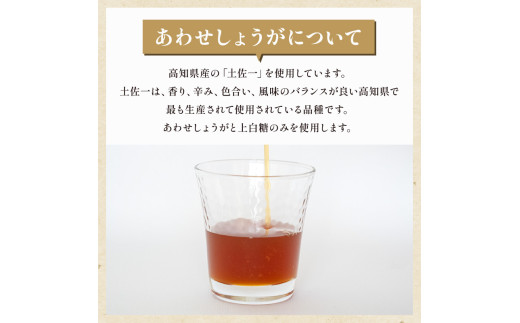 濃縮 生姜 シロップ パウチ 6パック セット 360ml 万能 調味料 生姜 自由自在 あわせしょうが ドレッシング 飲料 調理 ジュース KP009-2x