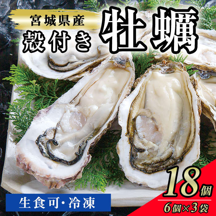 殻付き牡蠣（生食用）冷凍18個（約1.5kg） 生牡蠣 宮城県産 牡蛎 牡蠣 カキ かき 生食 オイスター カキフライ 牡蠣鍋 海鮮 国産 魚貝類 バーベキュー BBQ 【末永海産株式会社】tm713