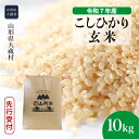 【ふるさと納税】＜令和7年産米先行受付＞ 大蔵村 コシヒカリ ＜玄米＞ 10kg（10kg×1袋）