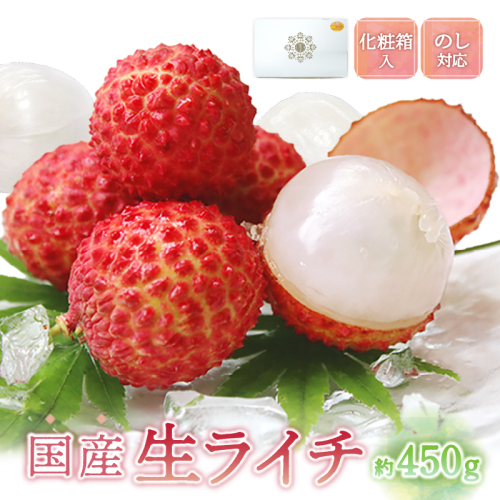 【先行予約/数量限定】希少 国産 綾生ライチ（化粧箱入り）  宮崎県 綾町産 ライチ 贈答 ギフト プレゼント お中元