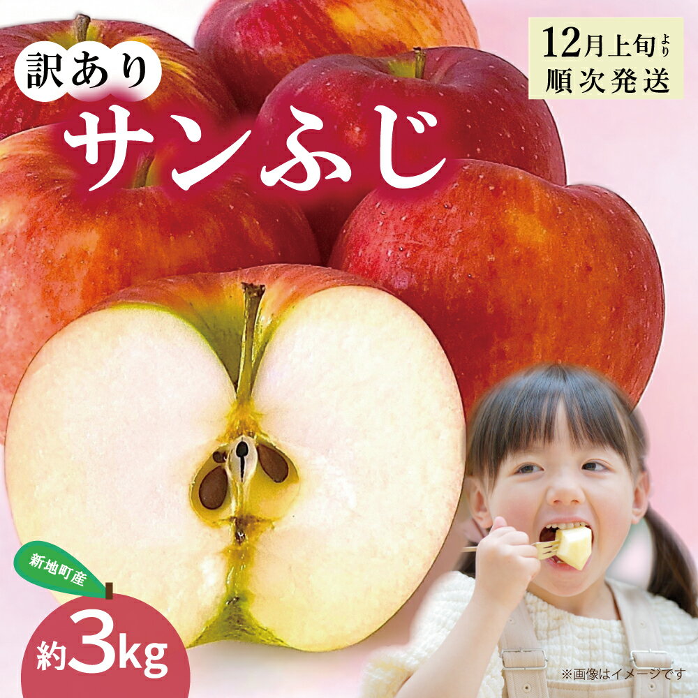 【ふるさと納税】＜先行予約＞新地町産 りんご サンふじ 訳あり 約3kg 1箱 | 果物 くだもの リンゴ フルーツ 旬 産地直送 農家直送 食品 人気 おすすめ 送料無料 お取り寄せ 福島県 新地町 訳アリ わけあり 葉とらず フジ サンフジ