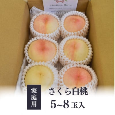 【きよとうファーム】しっかりめの肉質と甘さが絶品「さくら白桃」ご家庭用 5-8玉入(岡山県産)【配送不可地域：離島】