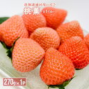【ふるさと納税】【今が旬！】北海道浦河産いちご「桃薫」270g×1P[13-279] 北海道 浦河 ふるさと納税 いちご 苺 桃薫 モモ 希少 送料無料