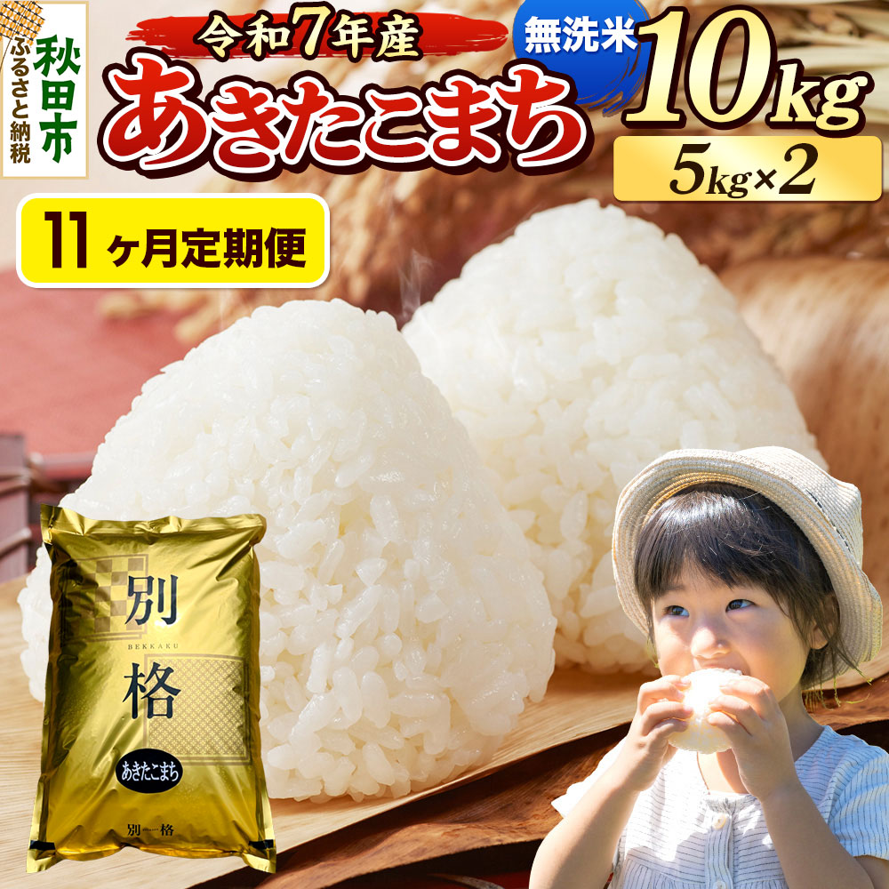 《令和7年産》《定期便11ヶ月》 米 あきたこまち 10kg（5kg×2袋） 【無洗米】 秋田県産