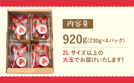 【先行予約】こだわりいちごさん 約230g×4パック（計920g以上）/新規就農 いちご 佐賀県産 イチゴ 苺 土耕栽培いちご 甘〜いいちご 大容量パックいちご イチゴ 苺 佐賀県産いちご ブランドい