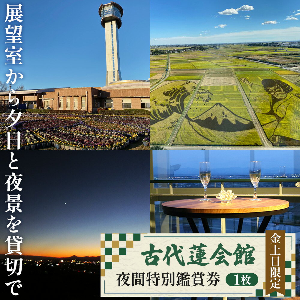 【ふるさと納税】No.338 古代蓮会館・夜間特別鑑賞券～展望室から夕日と夜景を貸切で！～ ／ チケット 貸し切り 田んぼアート 見学 送料無料 埼玉県