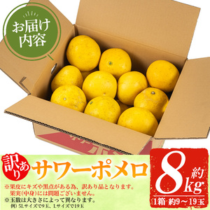 【訳あり】3月から発送予定！いちき串木野市特産サワーポメロ8kg箱（L～5Lサイズ／9玉～19玉）【A-1848H】