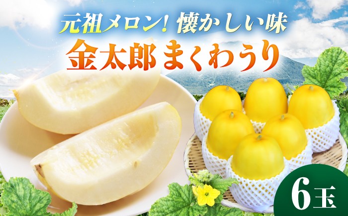 
                  【2027年7月下旬より順次発送】旬の野菜 懐かしまっか便（栽培期間中、農薬・化学肥料・動物性堆肥不使用）/ まくわうり セット 詰め合わせ 新鮮 野菜 旬 / 滋賀県 栗東市 / ワダケン リアルソイルハウス[BIBM006]
                