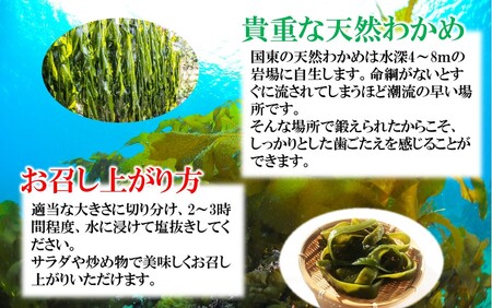 コリコリ食感がクセになる！ 国東 天然 茎わかめ 選べる容量 140g×7P (980g)_2550R-1