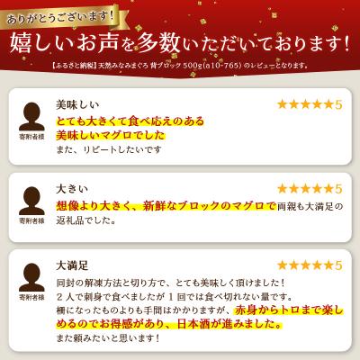 ふるさと納税 焼津市 天然みなみまぐろ 背ブロック 500g(a10-765) |  | 01