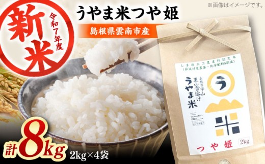 お米 神話の里/吉田町「うやま米」つや姫 8kg（2kg×4）白米 精米 コメ おこめ お米 つやひめ おすすめ 人気 米 ごはん ご飯 食卓 主食 ブランド米 お取り寄せ グルメ ご当地米 家族 ファミリー 一人暮らし 便利 8キロ おいしい ごはんソムリエ 種もみ ミネラル 国産 新生活 お弁当 朝ごはん 朝食 昼食 ご当地 島根県雲南市/有限会社藤本米穀店 [AIDB087]