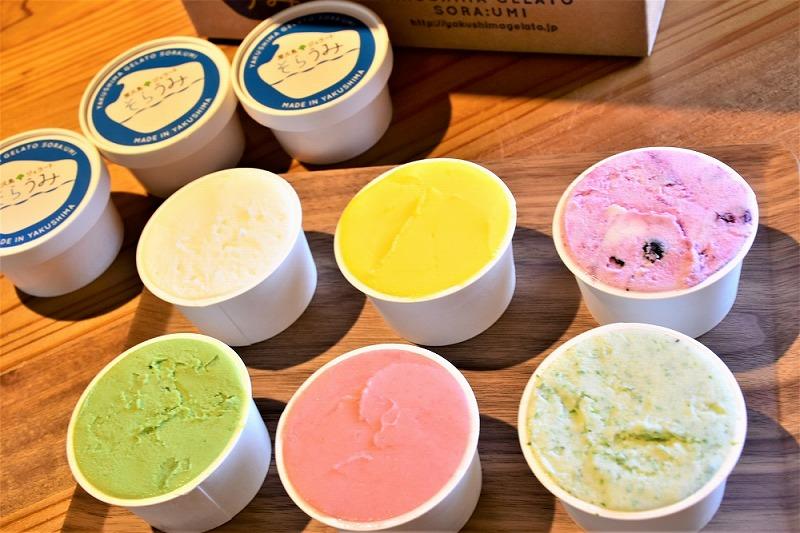 手作り ジェラート 12カップ 詰め合わせ セット＜屋久島産の新鮮食材を使用＞